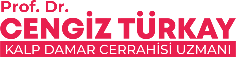 Prof. Dr. Cengiz Türkay